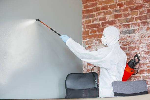 Best Dehumidification Services  in Hartwell, GA