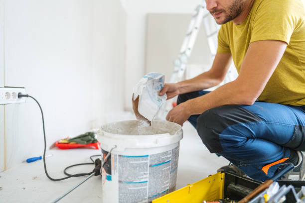 Best Attic Mold Removal  in Hartwell, GA