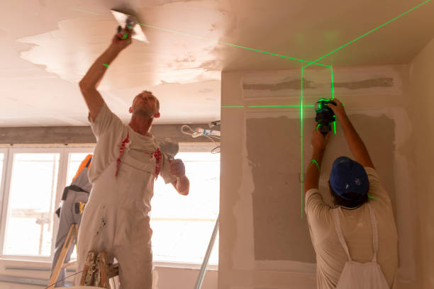 Best Mold Remediation for Vacation Homes  in Hartwell, GA