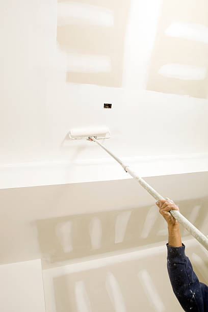 Trusted Hartwell, GA Mold Removal Experts