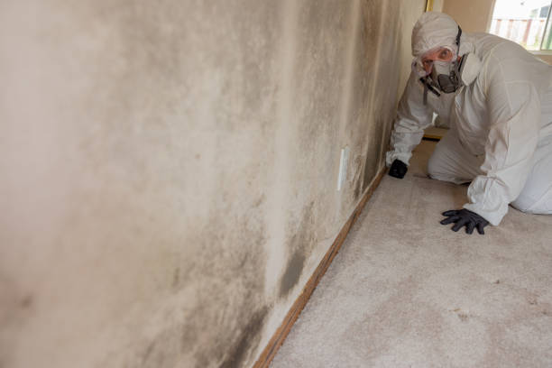 Best Air Quality Testing for Mold Spores  in Hartwell, GA