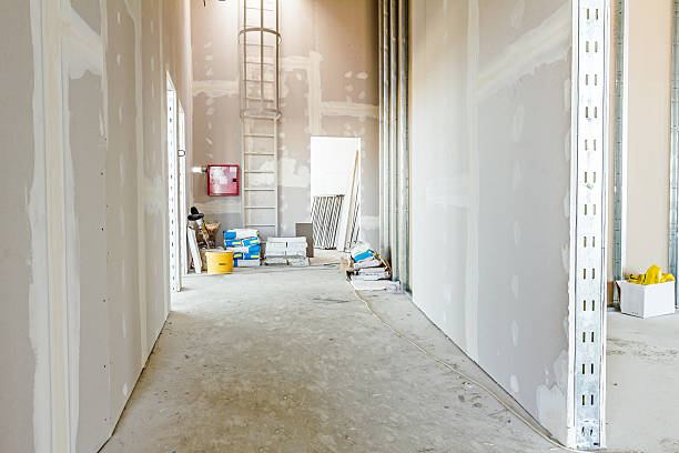 Best Mold Damage Restoration  in Hartwell, GA