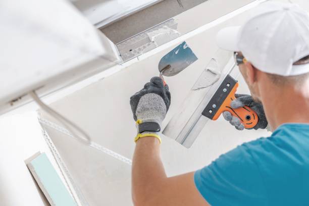 Best HVAC Mold Inspection and Cleaning  in Hartwell, GA